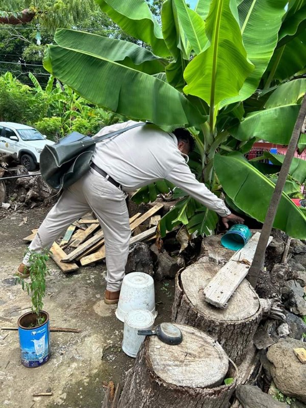 Se coordina Ayuntamiento municipal de SAT y jurisdicción sanitaria 10 para la realización de brigadas para combatir el mosquito transmisor del dengue y prevenir contagios. 