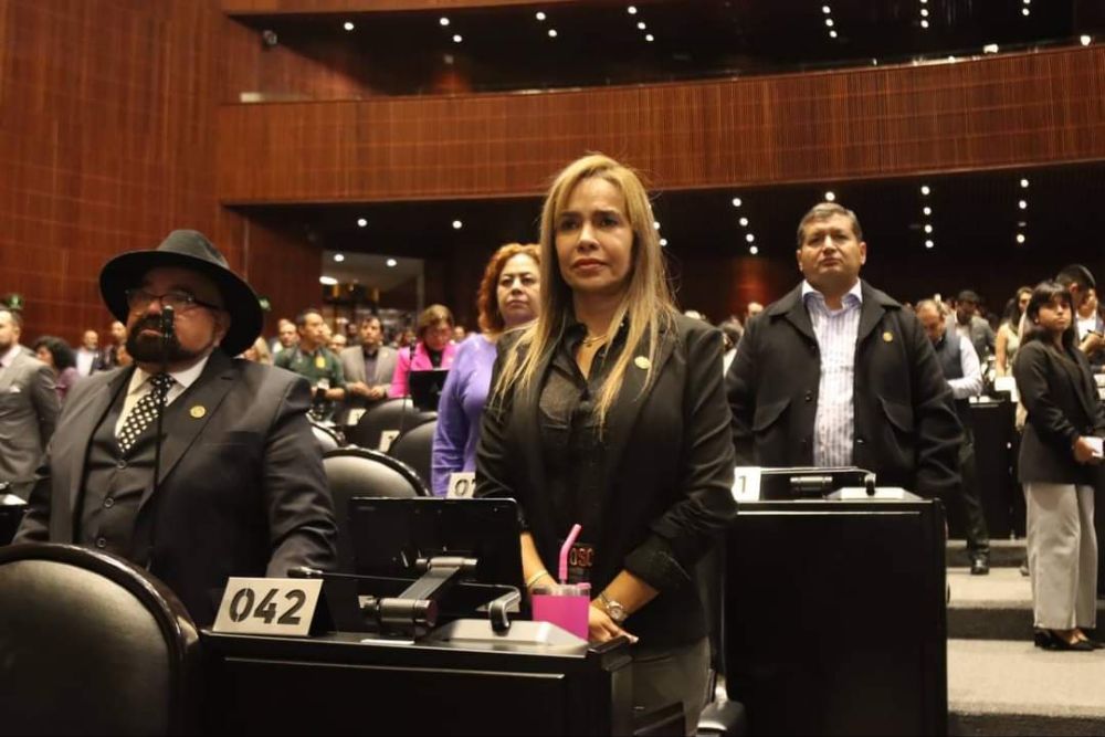 La Diputada Federal Paola Tenorio Adame , formará parte de las comisiones de Vigilancia de la Auditoría Superior de la Federación y Hacienda y Crédito Público