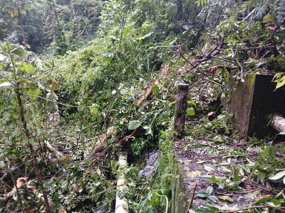 Lluvias provocan afectaciones en líneas de conducción del Manantial Las Víboras