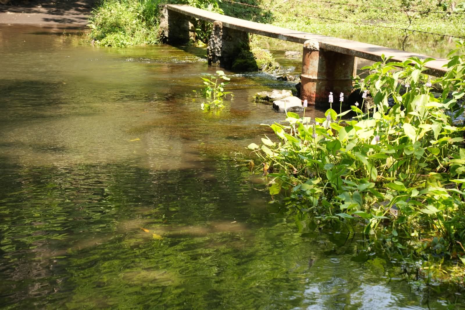 Previene CMAPS a usuarios de San Andrés Tuxtla por interrupción en suministro de agua potable.