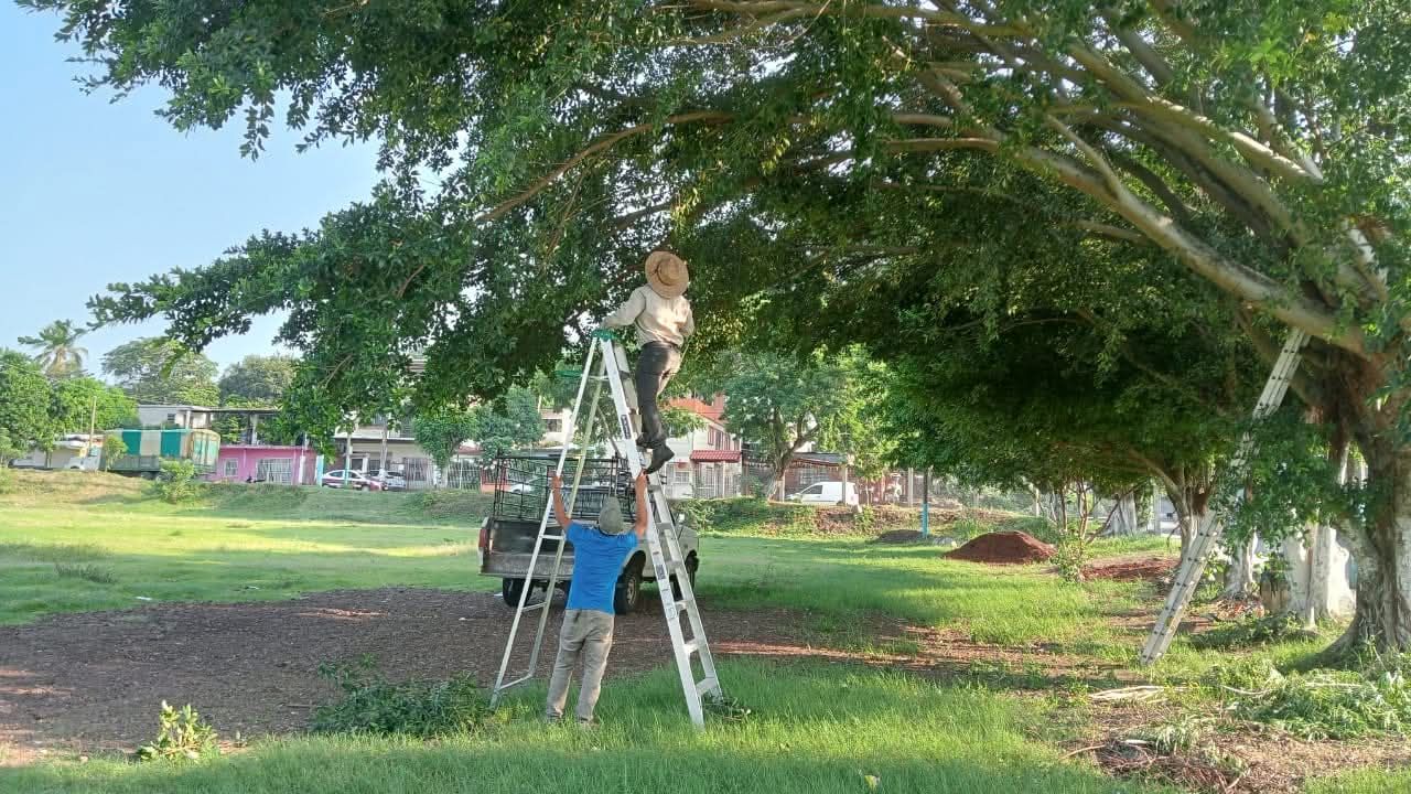 Dan mantenimiento al campo de la col. Primero de Mayo