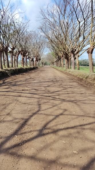 Se rehabilita el tramo camino Chimalpay-Chonegal
