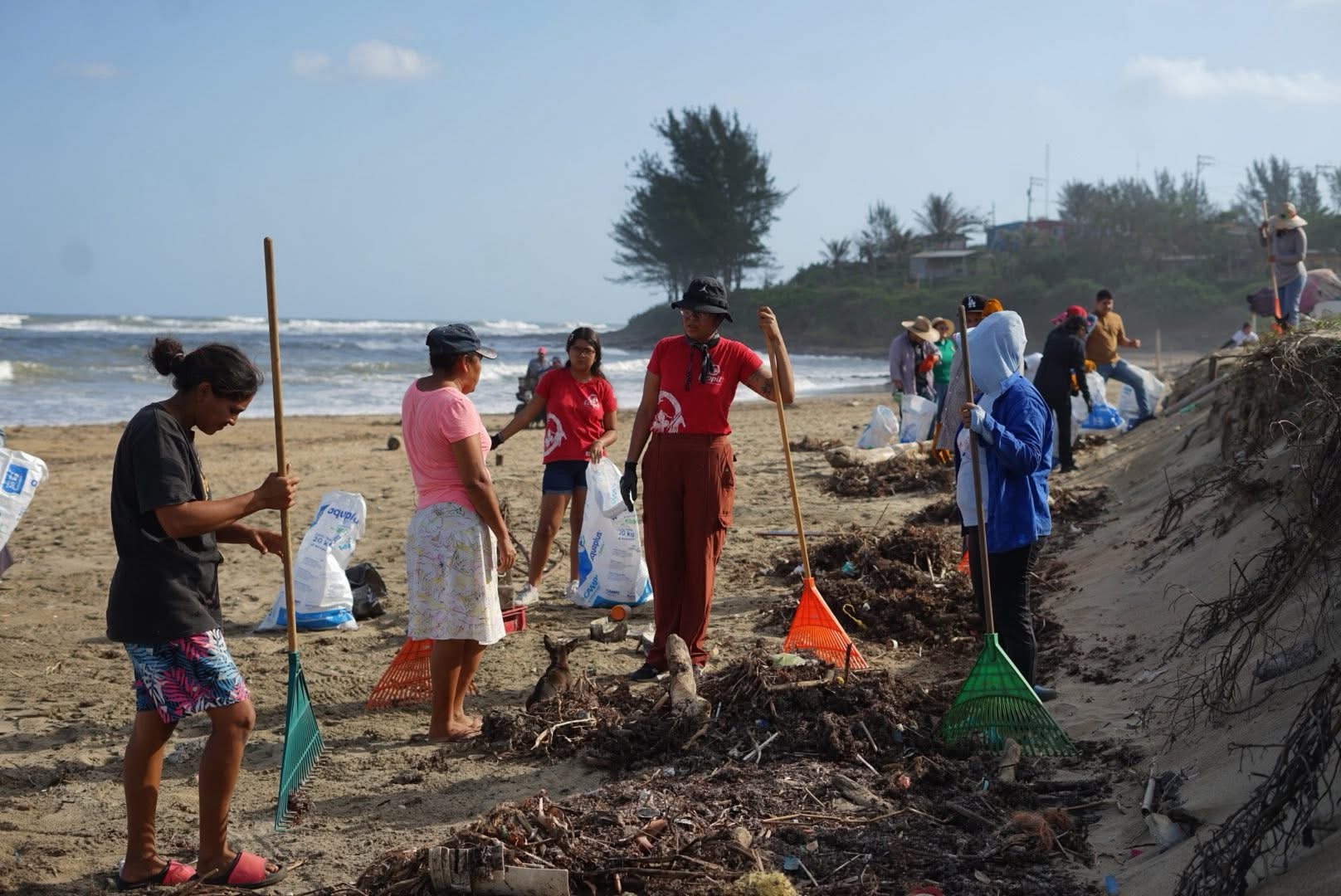 Turismo de Angel R Cabada llevó a cabo una jornada de limpieza en la playa Punta Puntilla.