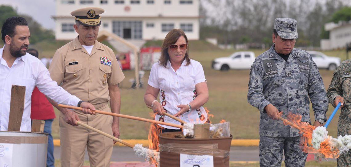 Veracruz y Federación combaten al narcotráfico con destrucción de droga 