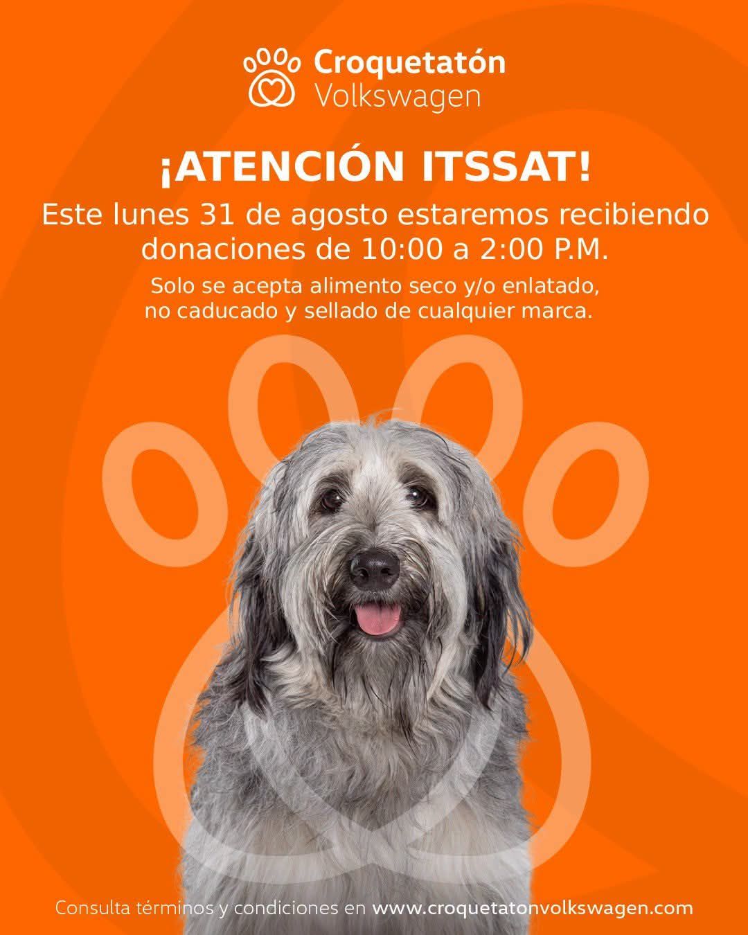 Ven y participa con tu donación de croquetas.