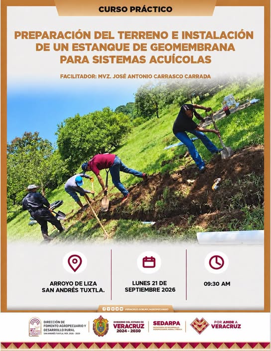 Del terreno al agua: aprender haciendo